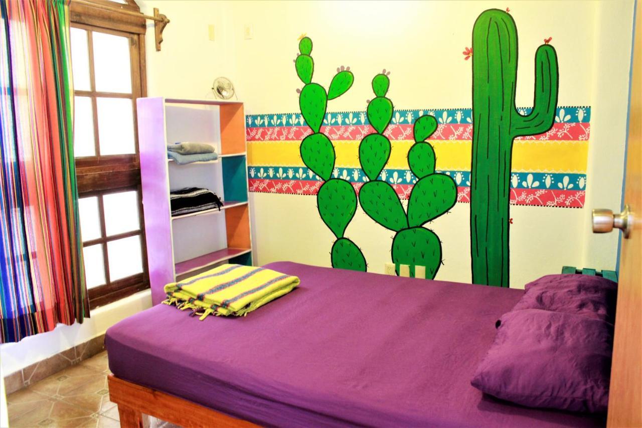 סן לואיס פוטוסי Hikuri Hostel מראה חיצוני תמונה
