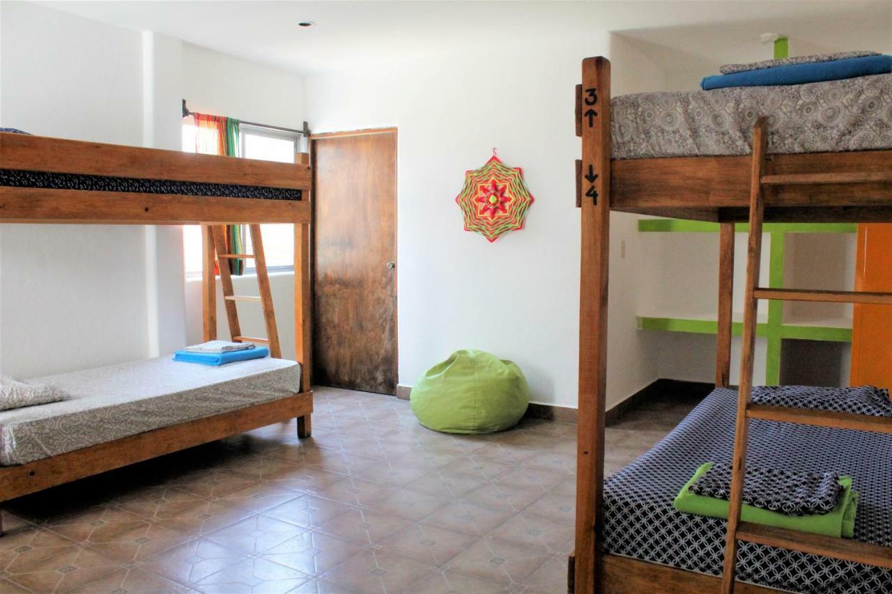 סן לואיס פוטוסי Hikuri Hostel מראה חיצוני תמונה